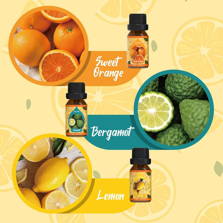 Essential Oils Aromatherapy Pure Essential Oil Fragrances Diffuser Burner UK